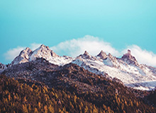 华体会运动频道：点亮体育热情的全景新鲜体验