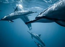 开云体育网址：让每一次选择都更懂你